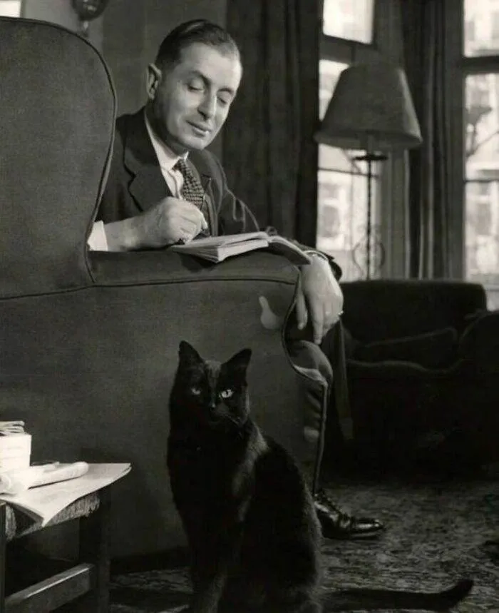 401860983 1395786051318795 2923747481761684227 N 656Cd729Ed7C4 700