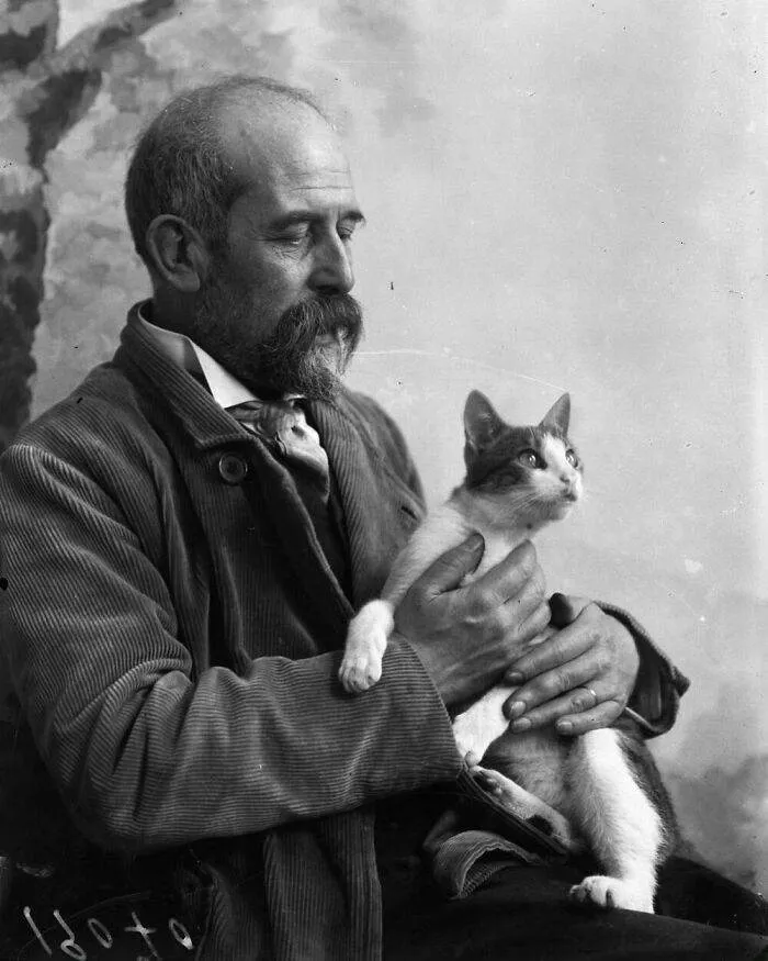 403420901 726125396049632 1814263470602810652 N 656Cd72C166A8 700