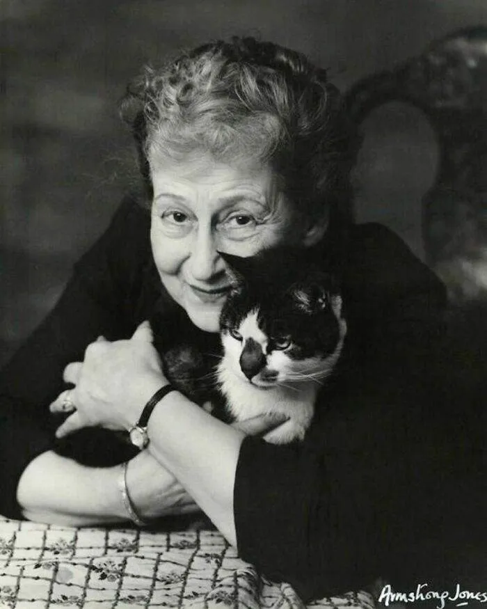 403850557 1018688152561324 1973383835291329314 N 656Cd72Fb51C8 700