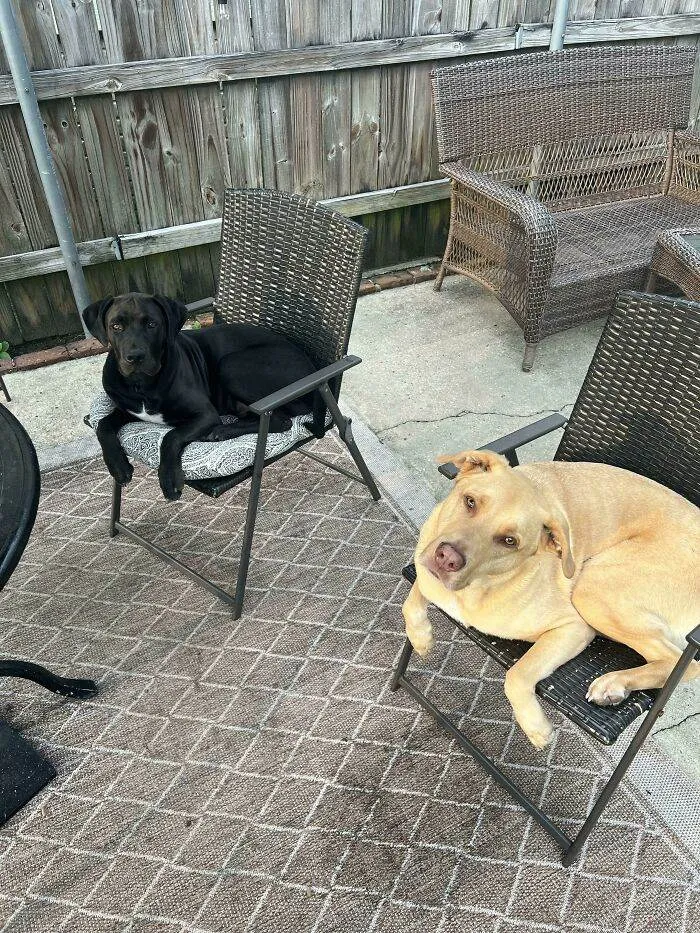 6514C5198392D 8N1A8Vw1Hqya1 700