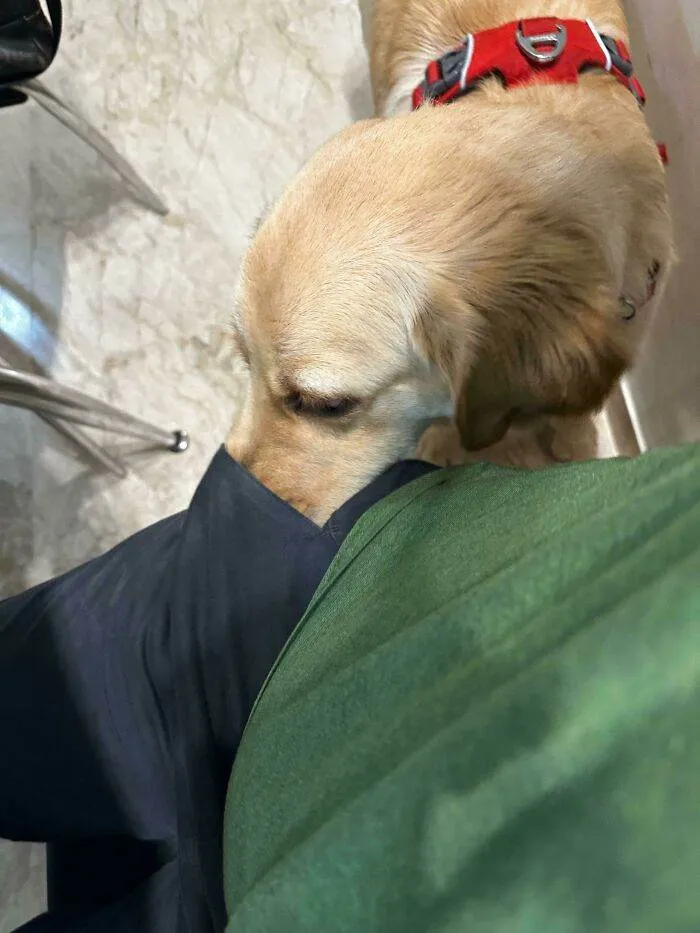 6514C5F02D677 Eeh6Lavfnm2B1 700