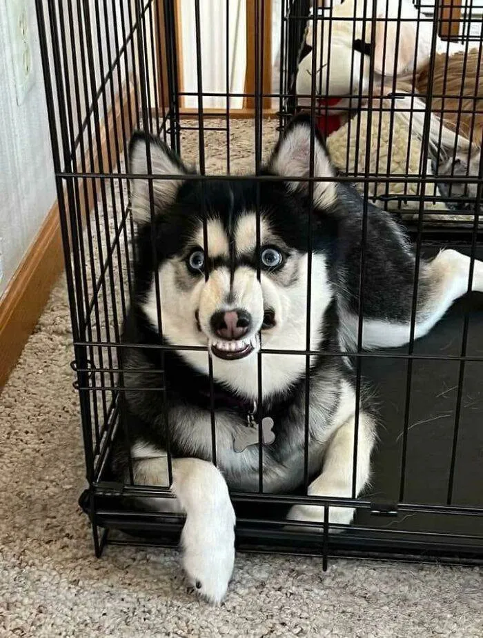 6514C66Dc670A W9Mshd8Pwi3B1 700