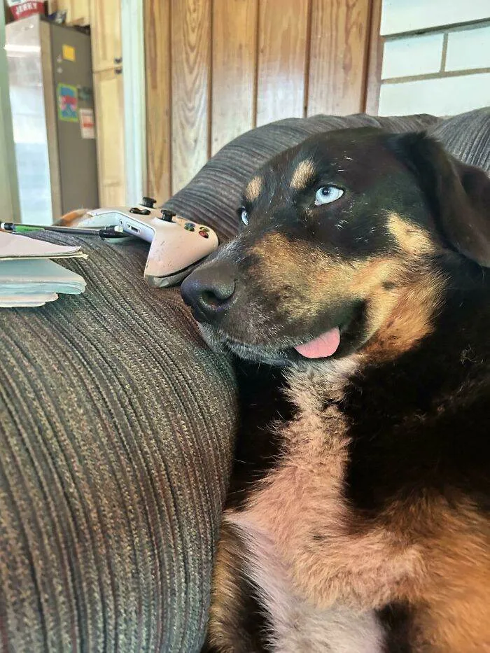 6514C8B35644A Weyvvytejrbb1 700