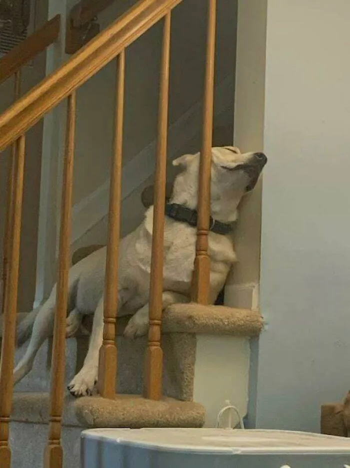 6514C9Afac485 Cvfareq89Okb1 700