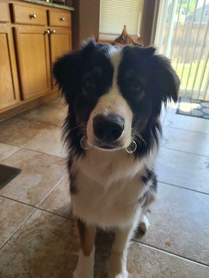 6514Ca2E6E154 9Udqa64Q93Mb1 700