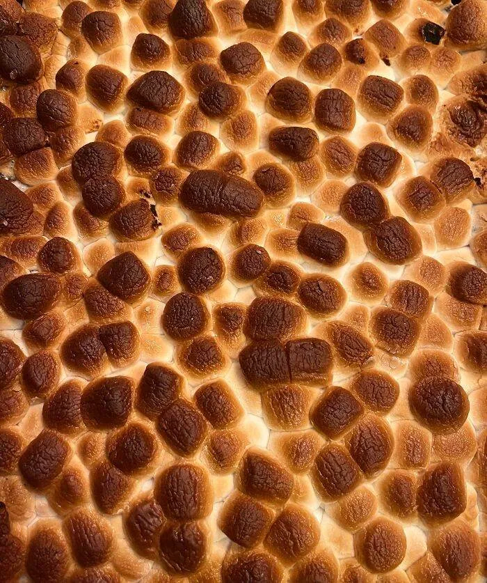 65527E60D2Ef7 Oddly Satisfying Food Pics