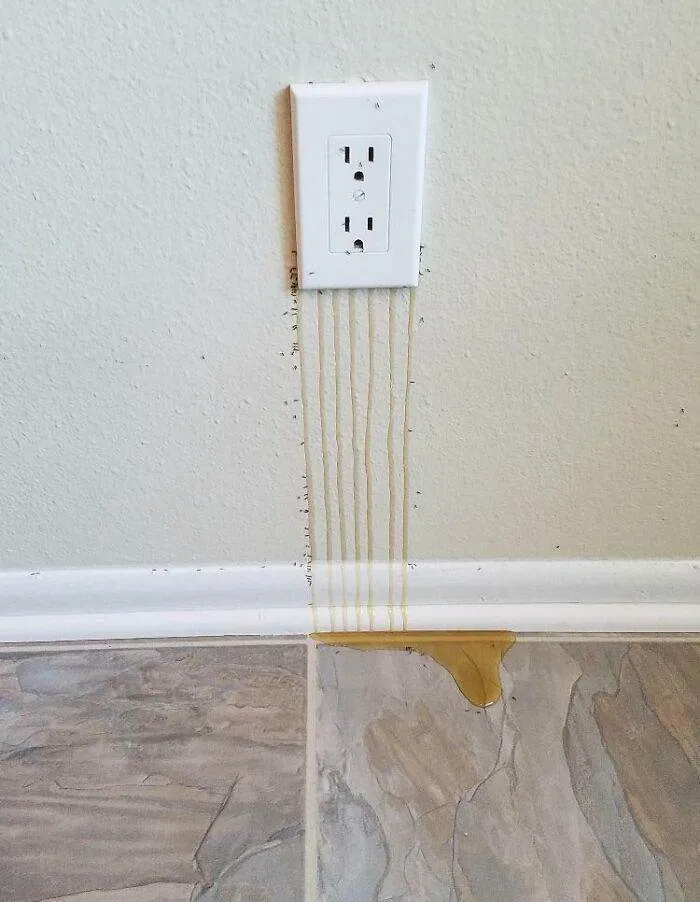 655F5Bc31B059 Worst Home Building Fails