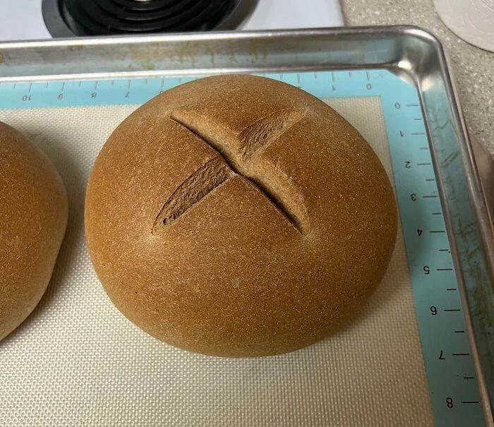 656Defd85Ce46 Oddly Satisfying Food Pics