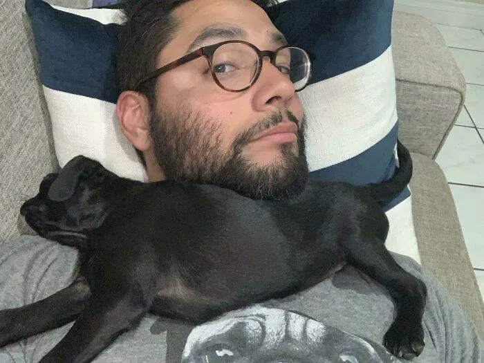 30 Incredibly Cute Pictures Of Pets Enjoying A Nap