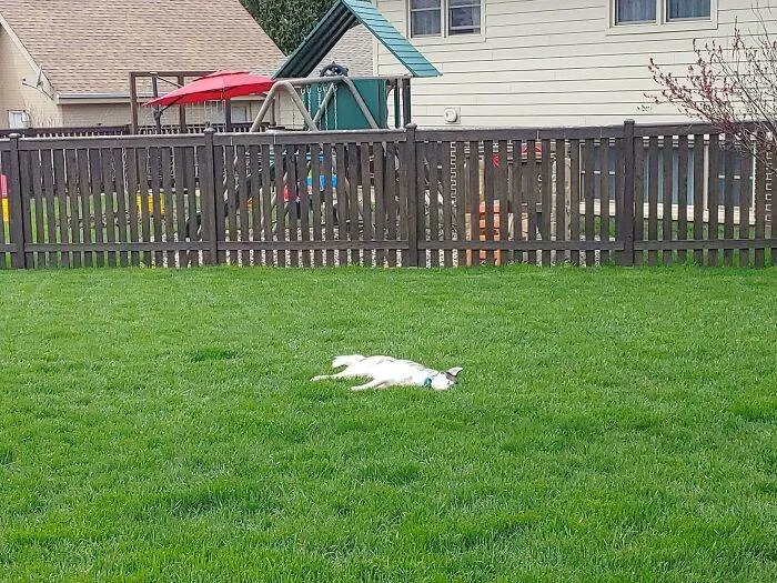 65701C2Ab1A58 3Chiepa7Jtj61 700