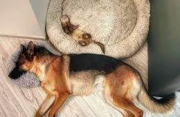 65701C64C3D8C B91Iv5Ncglx31 700