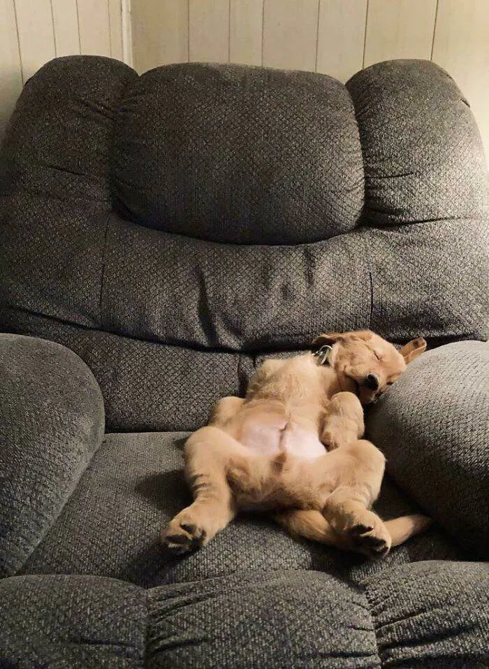 65701C763D4Eb Hvfkq5Dhred51 700