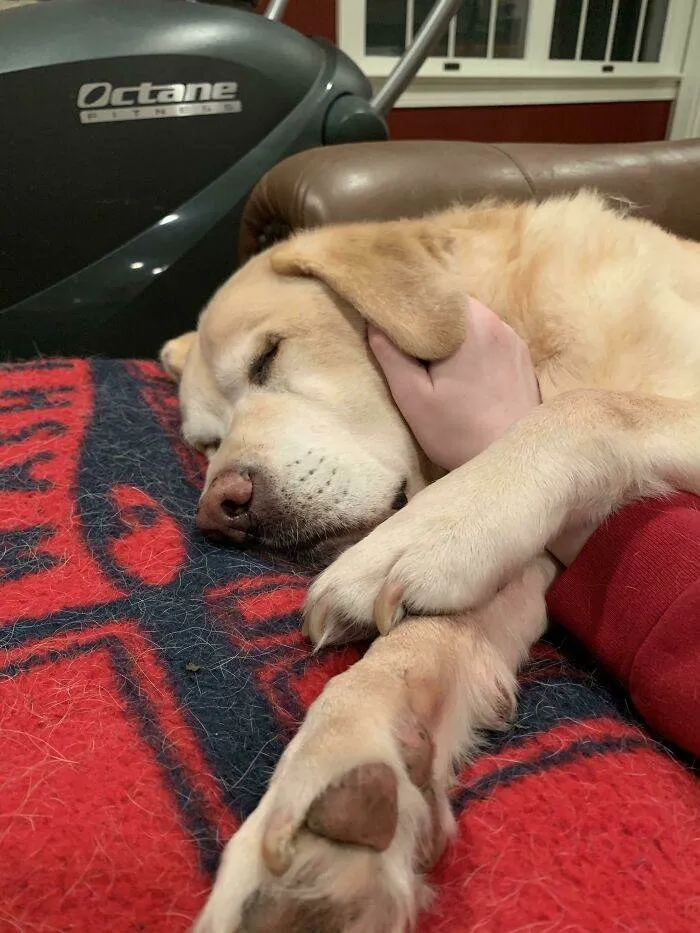 65701C95143E4 Giwsjwnc3T741 700