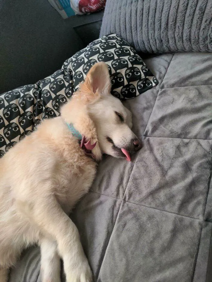 65701Cb82903C Q6Skhc2Dsrk51 700