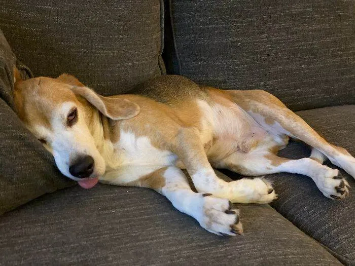 65701Dcbcd1Eb Aoalw1I 700