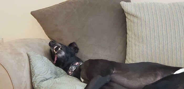 65701F0A5Fac7 Hq5Jsr59Bmd51 700