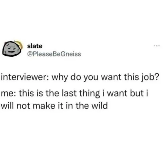 30 Hilariously Amusing Tweets