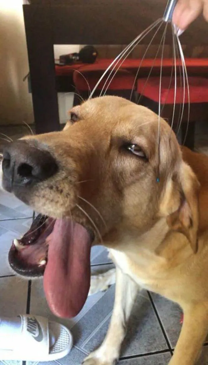 Strange Weird Cursed Images 1 656Edbca4D593 700