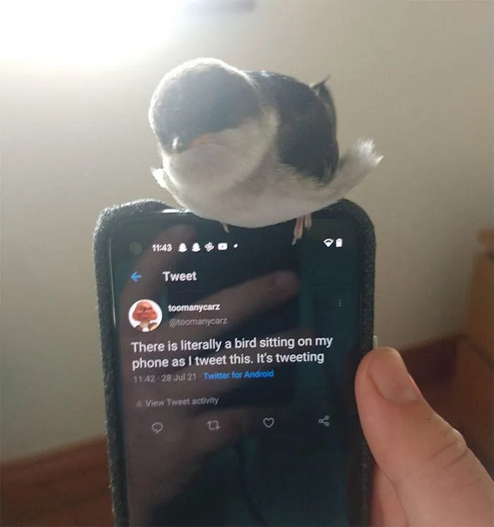 30 Unbelievable Pics From The Dark Side Of The Internet