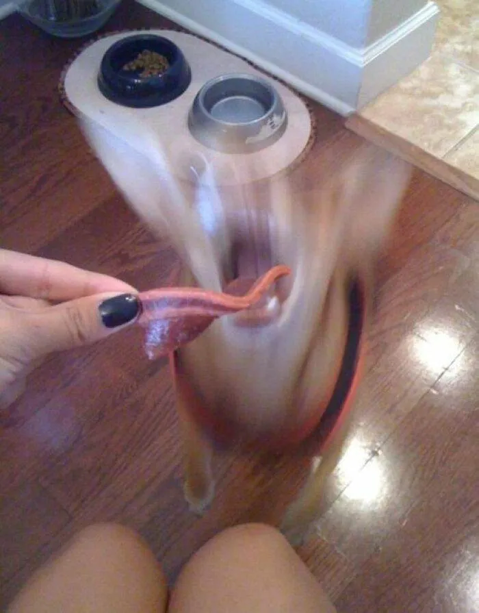 Strange Weird Cursed Images 2 656Edbcc390F2 700