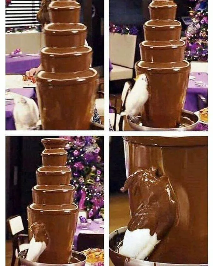 30 Unbelievable Pics From The Dark Side Of The Internet