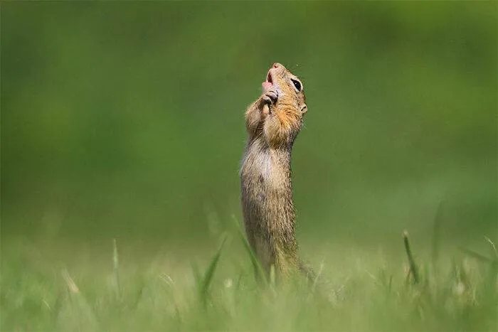 30 Amazing Moments Captured In Photography