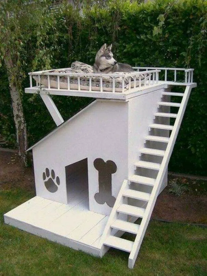 30 Times Dogs Got Only The Best Dog Houses  