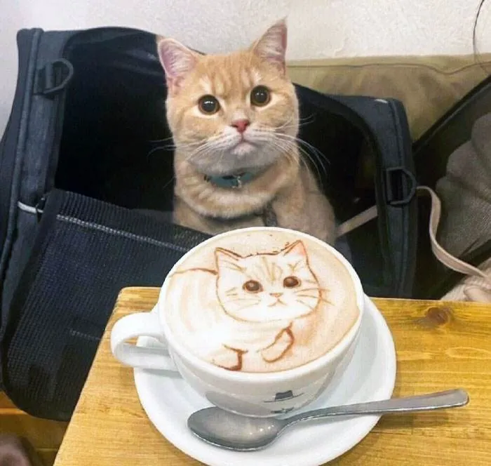 30 Baristas Wow Customers With Latte Art Almost Too Beautiful To Sip