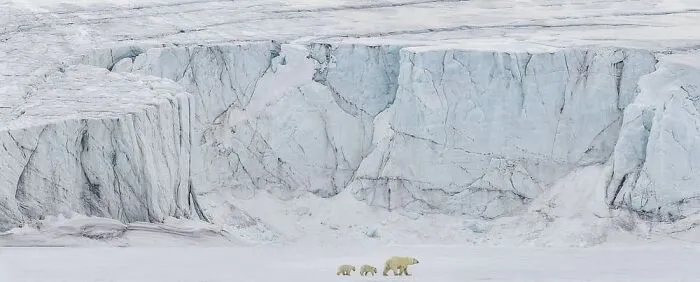 The Best Wildlife Photographers In The World In 2023 According To One Eyeland Awards 6582C1B1E0F7B 700