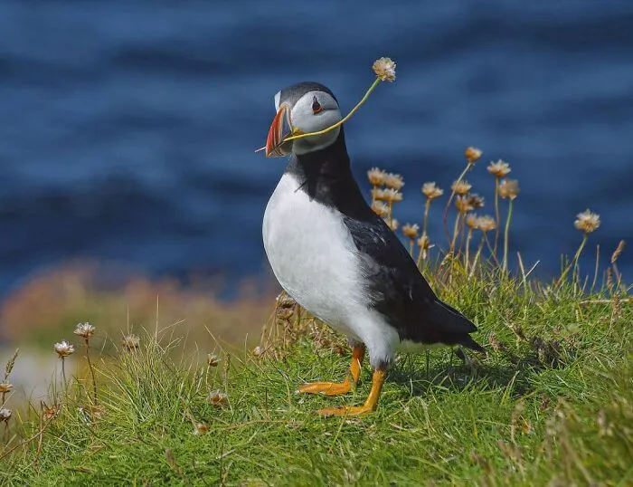 The Best Wildlife Photographers In The World In 2023 According To One Eyeland Awards 6582C1Ce6C46A 700