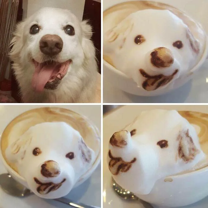 Cool Latte Art 13 6593E56E0934B 700