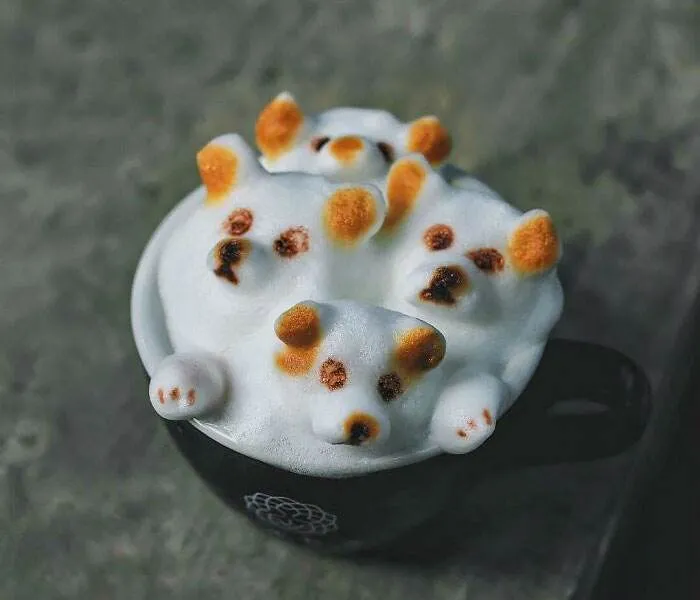 Cool Latte Art 7 6593D5C2Ec771 700