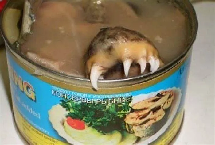 Food In Places Shouldnt Be Pics 6548A29183643 700
