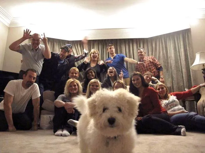 Funny Christmas Animals 26 6581Ce16E3C6A 700