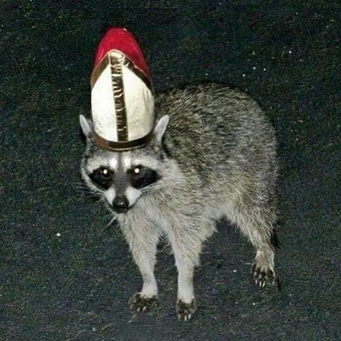 No Context Cursed Images 47 65A102045741F 700