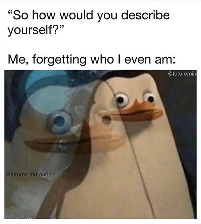 30 Hilarious Memes Catered Just For Introverts