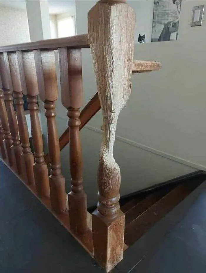 65C34Eaeb3749 424618700 231659476666607 1839991458447871347 N 700