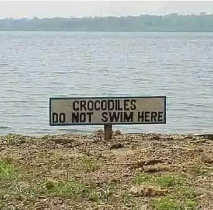 65C361A021Ce0 420067768 222406810925207 4280993410527593668 N 700