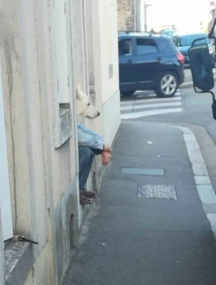 65C3769542Cbe 410947120 205760109256544 254708262438303526 N 700