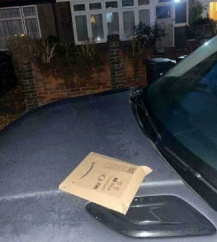 30 Of The Weirdest And Funniest Things Ever Seen On Amazon