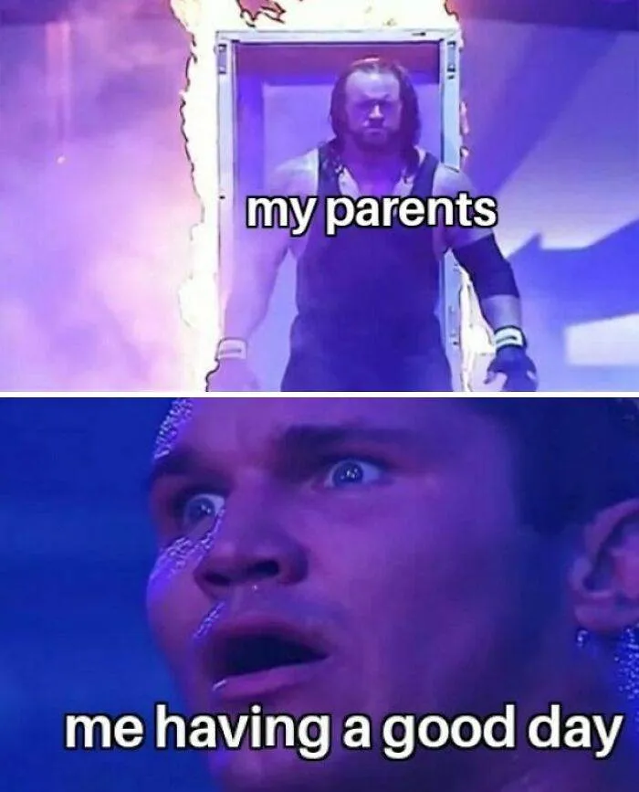 65C6473Cb3A2D Funny Insane Parents Memes