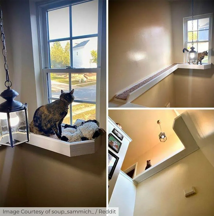 You Should Have Hired An Architect 65C0A2Cb7B843 880