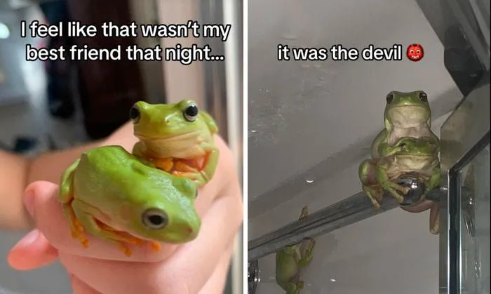 30 Hilarious Pets Showing Their Adorable And Mischievous Sides