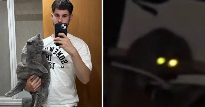 It Was Devil Funny Animal Pics 38 65C09F7C87C92 700