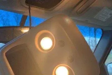 Weird Pics Without Context 8 65C3A2E64832E 700