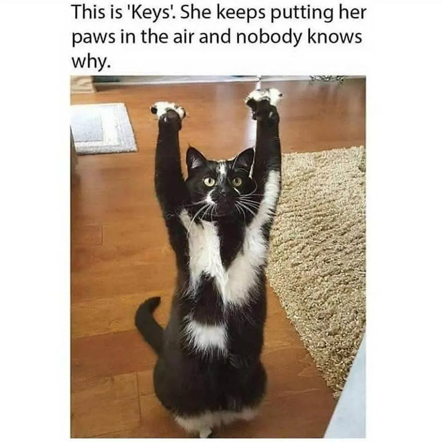 115 65E1B566D6C59 880