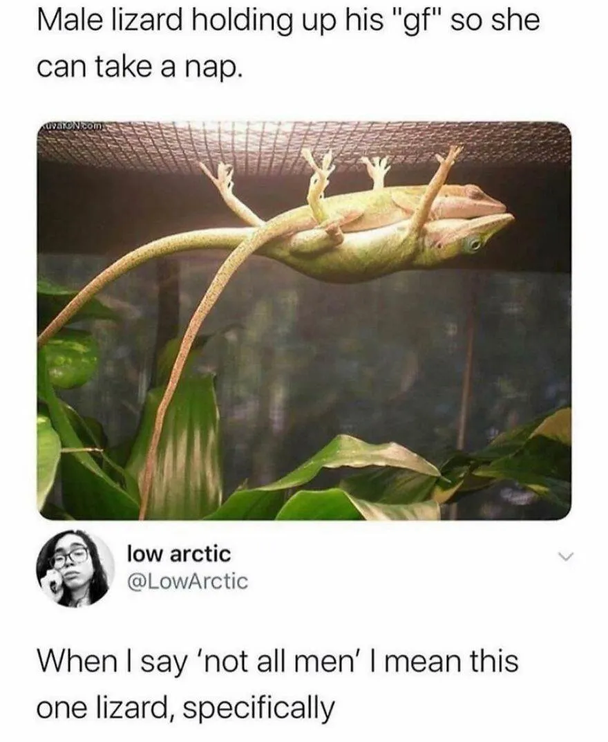 137 65E1D4E0068Db 880