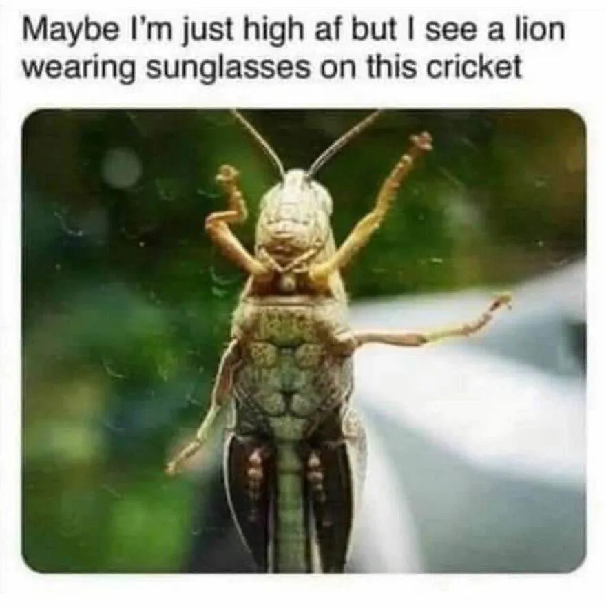 30 Delightful And Humorous Encounters Involving Animals