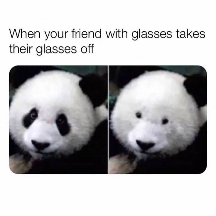 396553760 6842511179176181 2421109569271734147 N 65E198B7Bfdcb 880