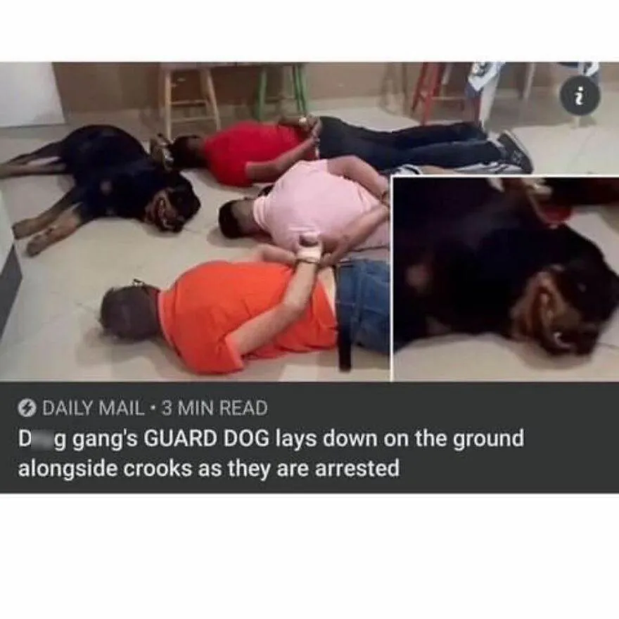 396914509 2782419295231861 1574199318458554001 N 65E19A785167D Censored 880